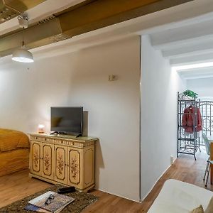 Ab Sant Antoni Studio